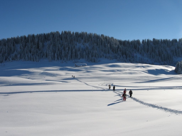 Sortie raquette a neige a La Clusaz